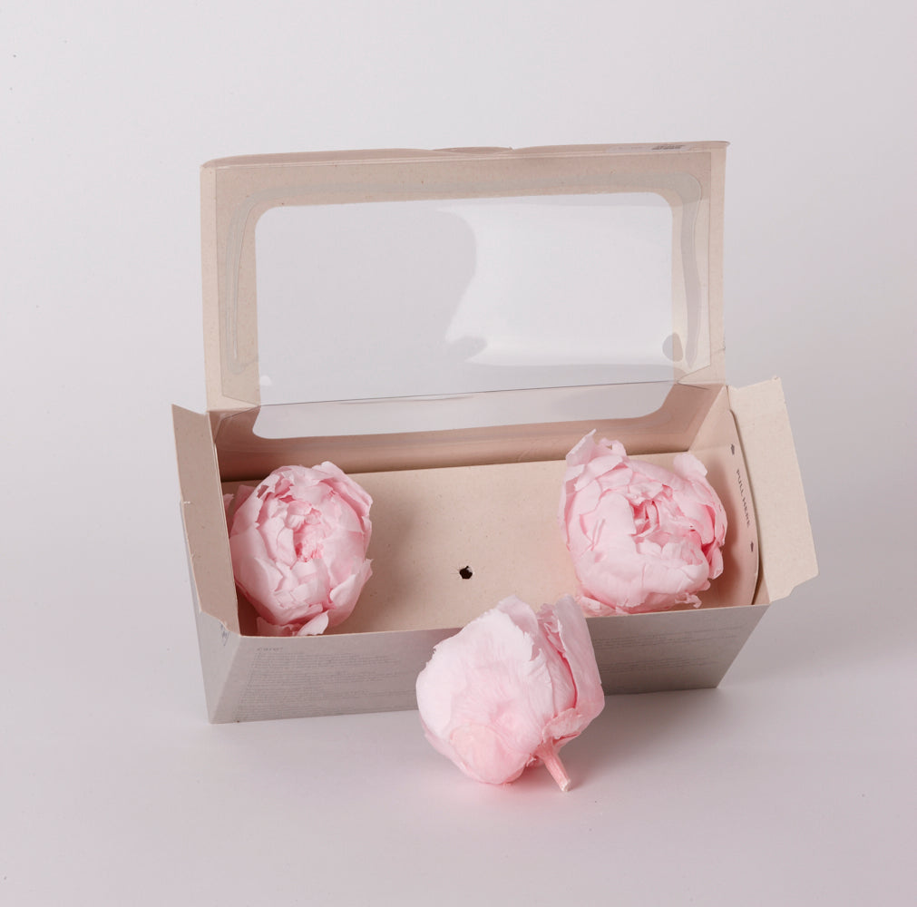 Peony Heads (Verdissimo), Preserved, Pastel Pink, Box x 3