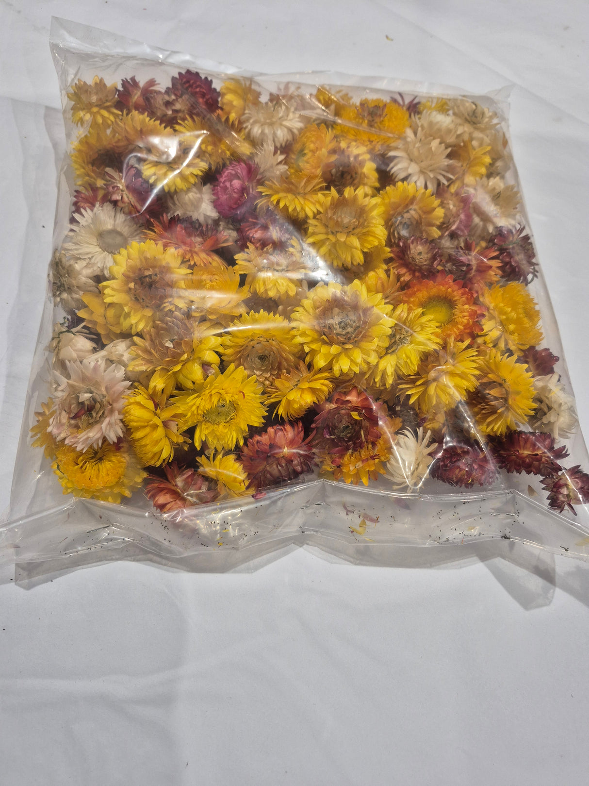 Strawflower, (Helichrysum Heads), Dried, Mix, per 100g Box