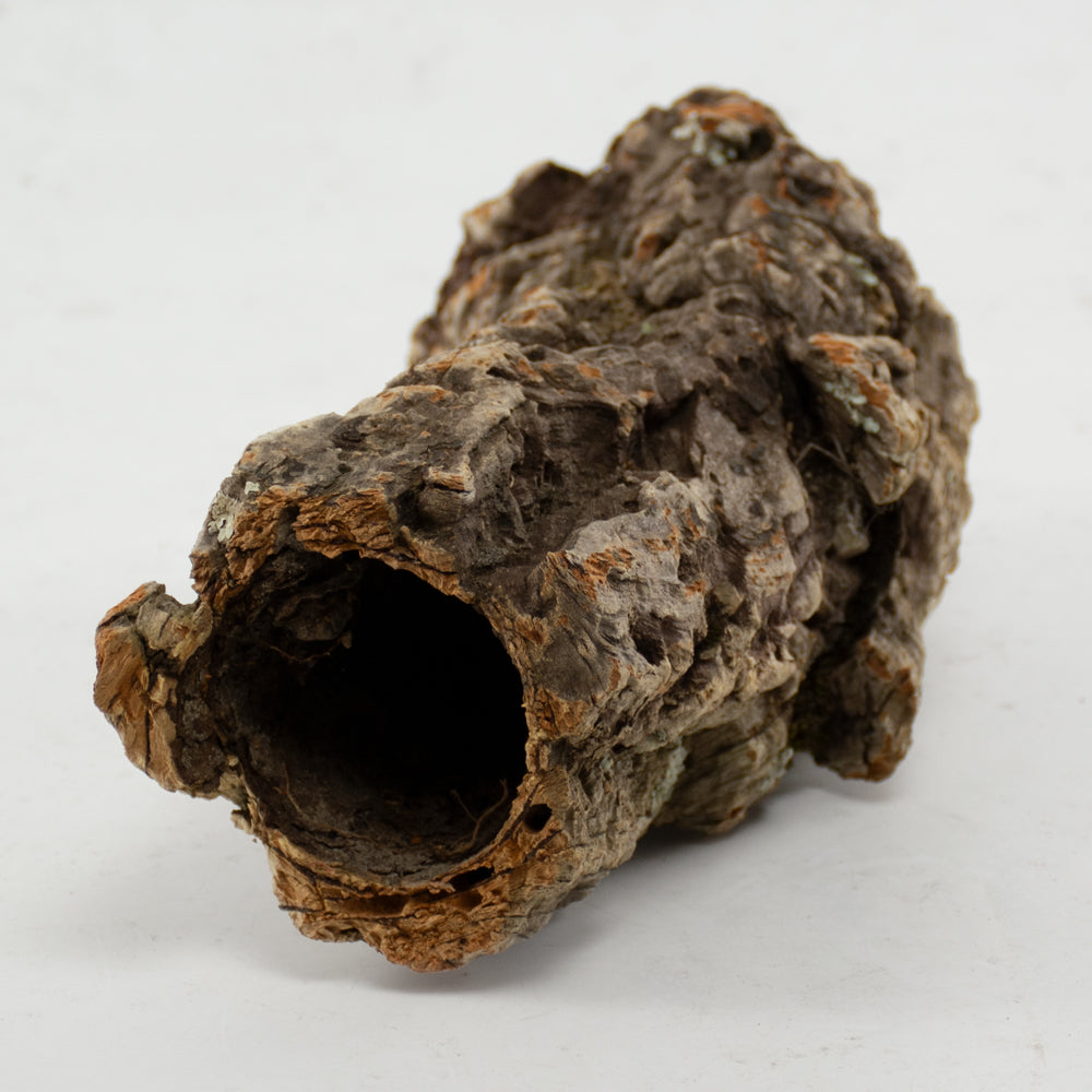 Casca Oca, Hollow Cork Piece, Natural, 20cm, Bag x 5