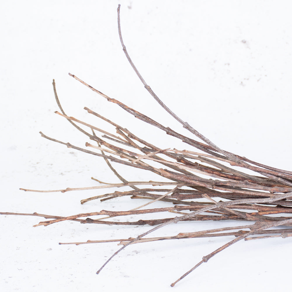 Branches, Cork Twigs, Natural, Bunch, 50cm