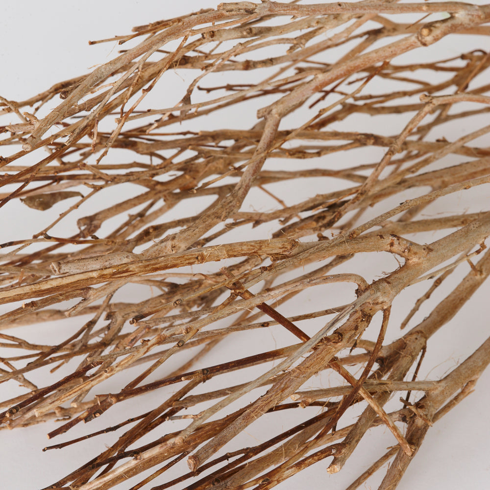 Tea Branches, Dried, Natural Brown, 65cm, Bunch