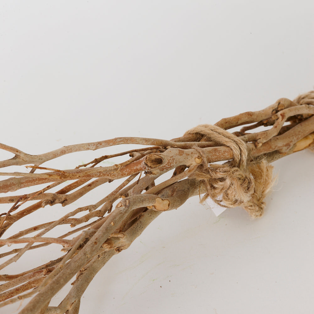 Tea Branches, Dried, Natural Brown, 65cm, Bunch