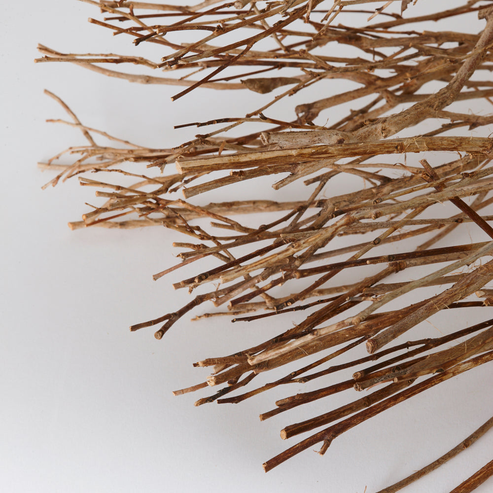 Tea Branches, Dried, Natural Brown, 65cm, Bunch