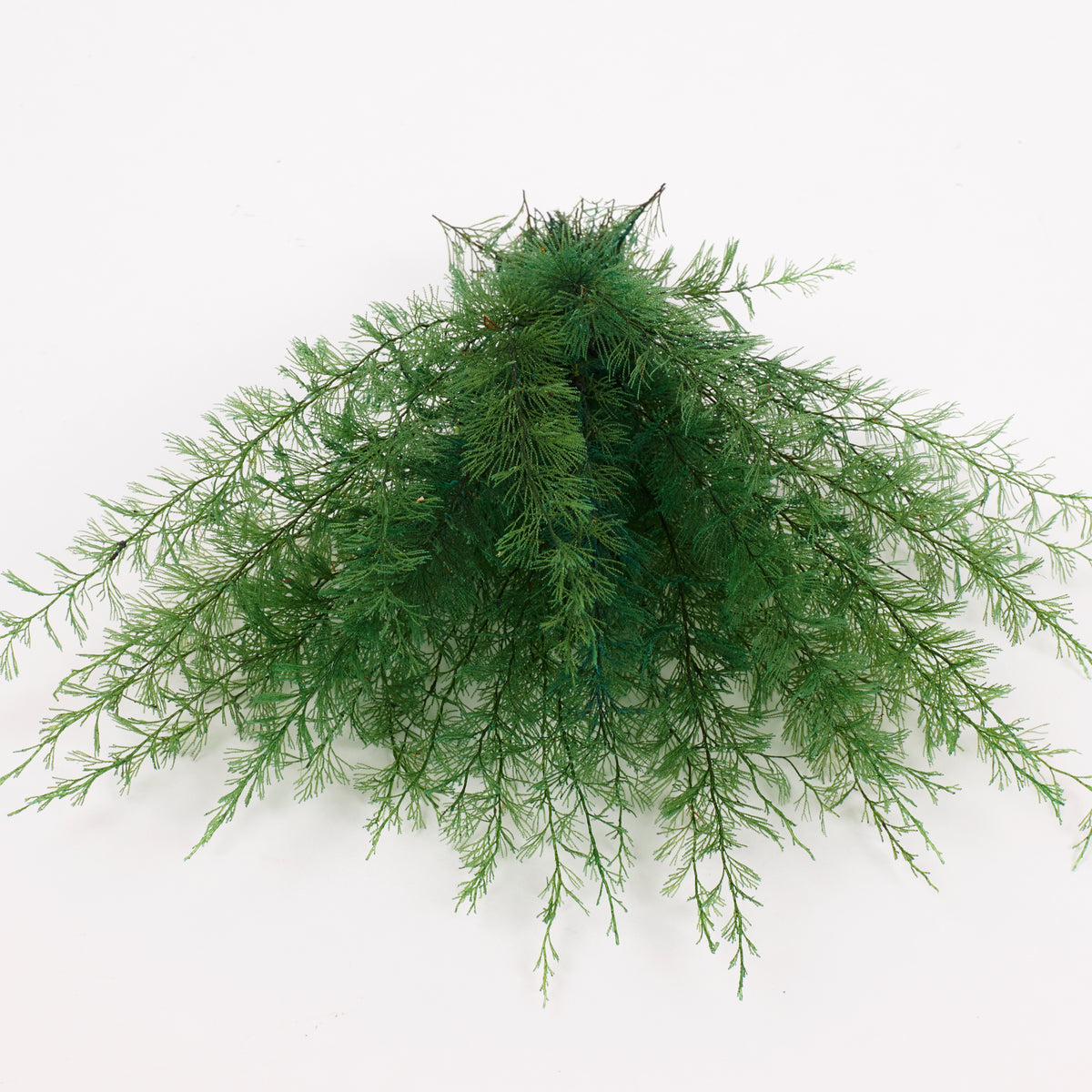 Air Fern, Preserved, Green, Bunch, British