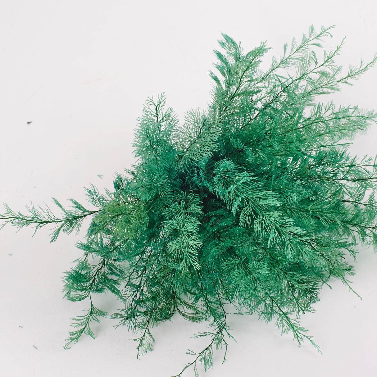 Air Fern, Preserved, Green, Bunch, UK