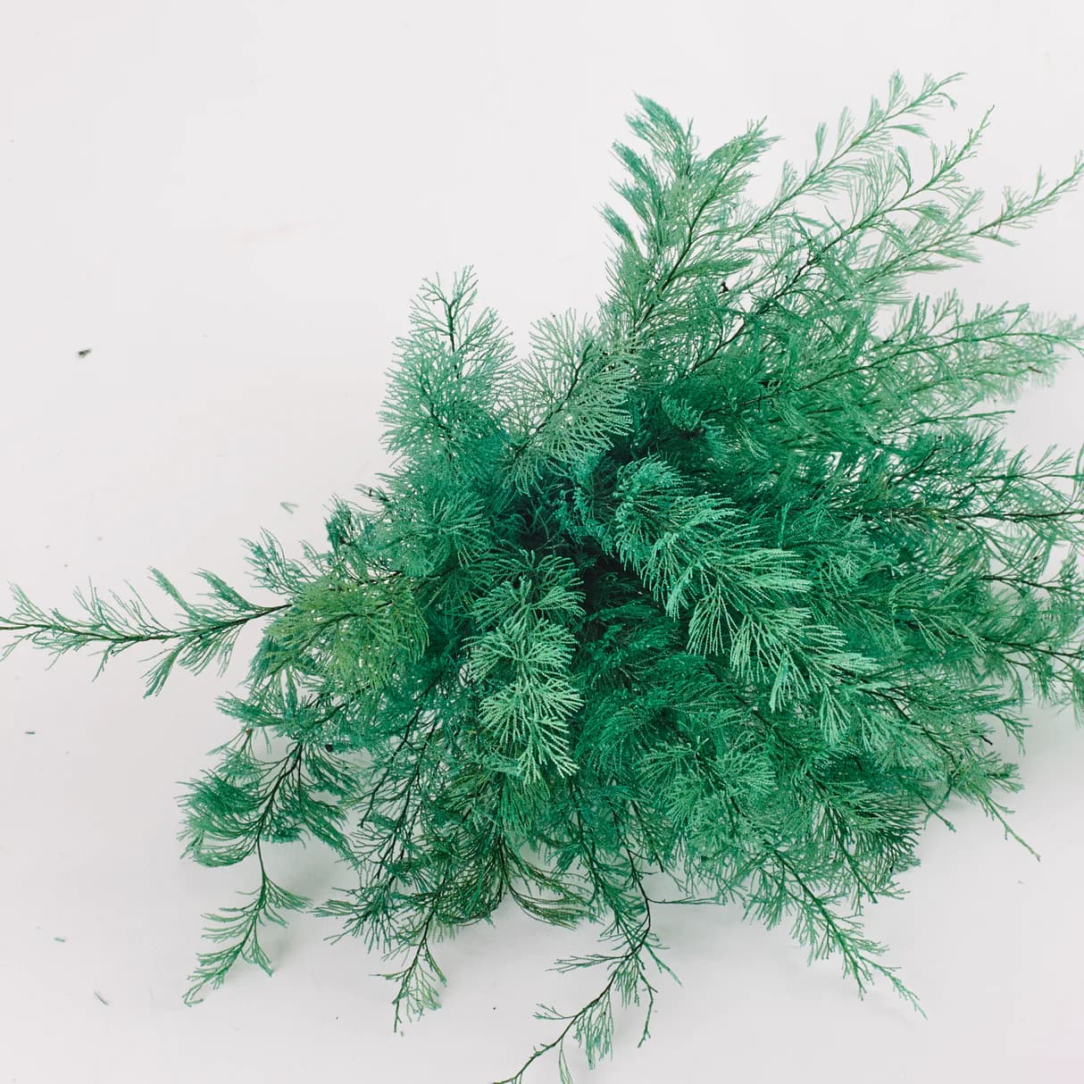 Air Fern, Preserved, Green, Bunch, UK