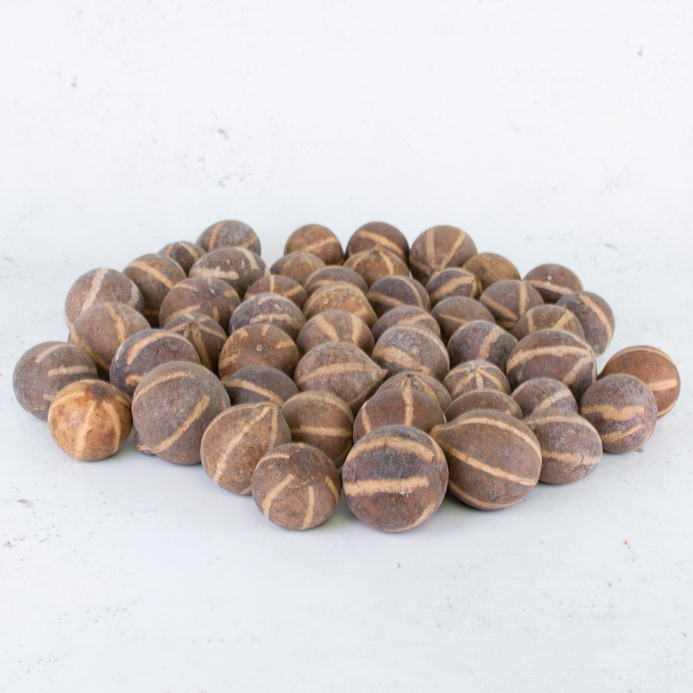 Bellani Pumpkin, Natural and Dried, Bag of 50