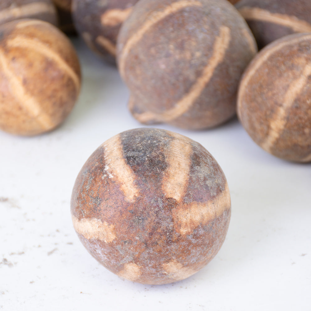 Bellani Pumpkin, Natural and Dried, Bag of 50