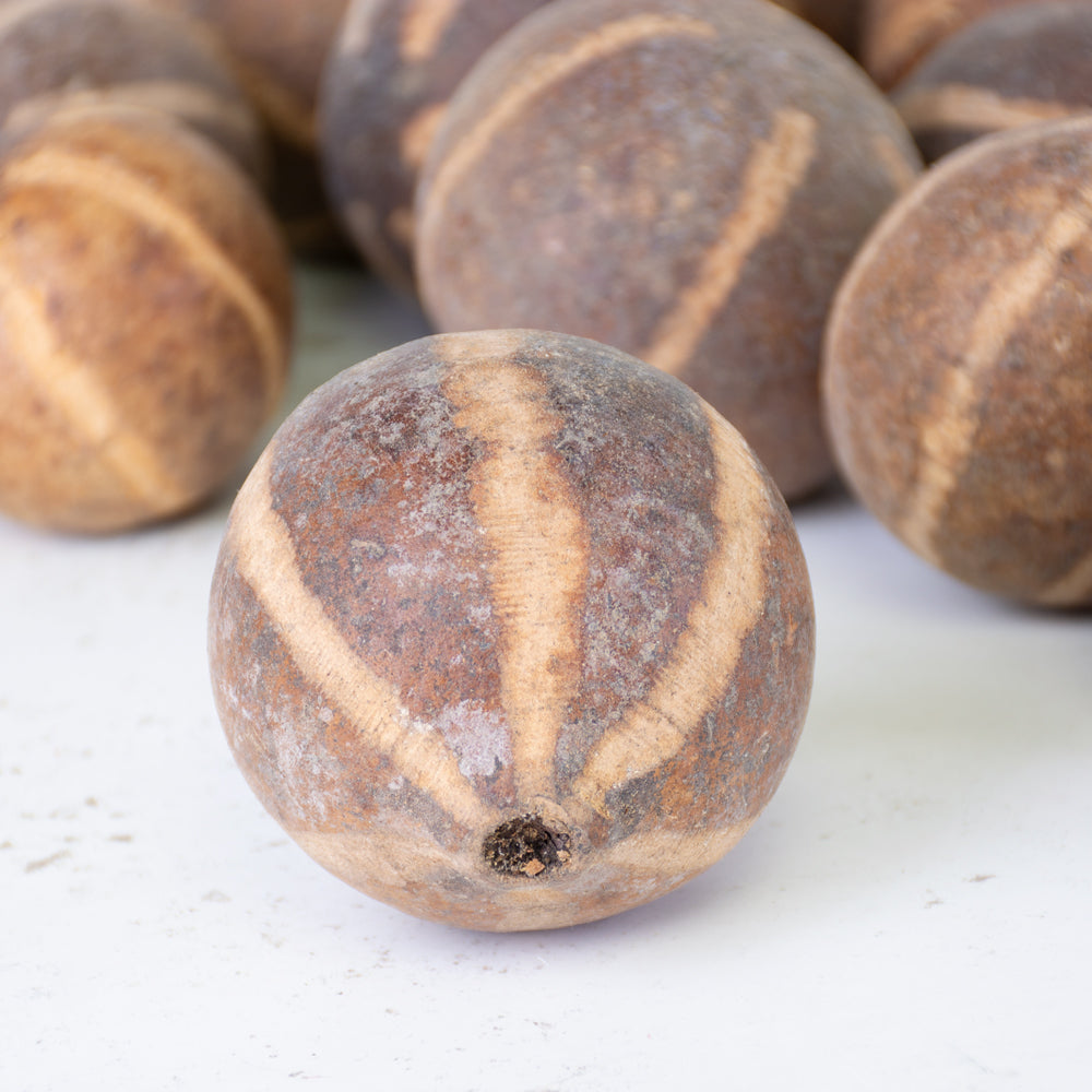 Bellani Pumpkin, Natural and Dried, Bag of 50