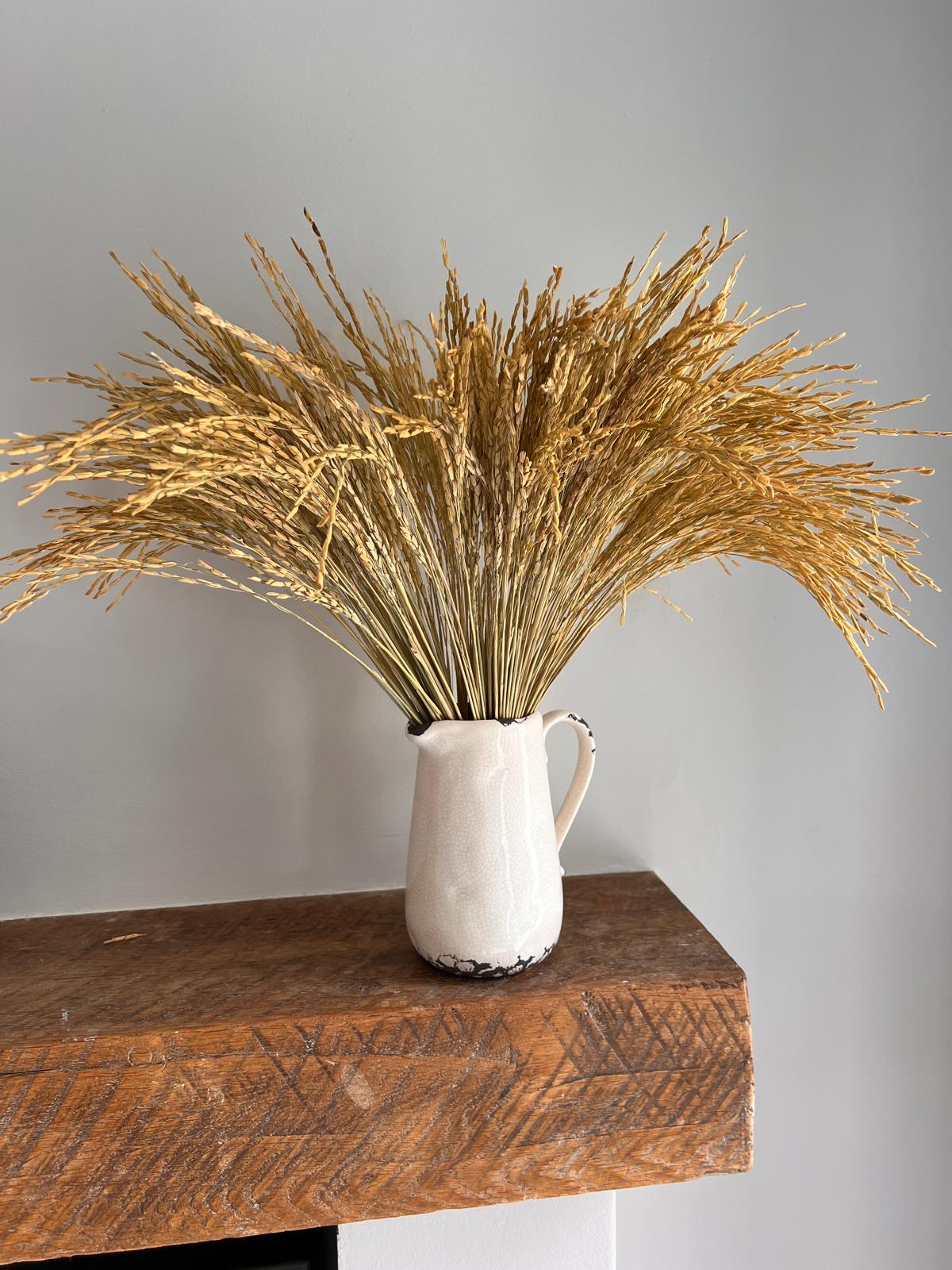 Rice, Dried, Natural, Bunch