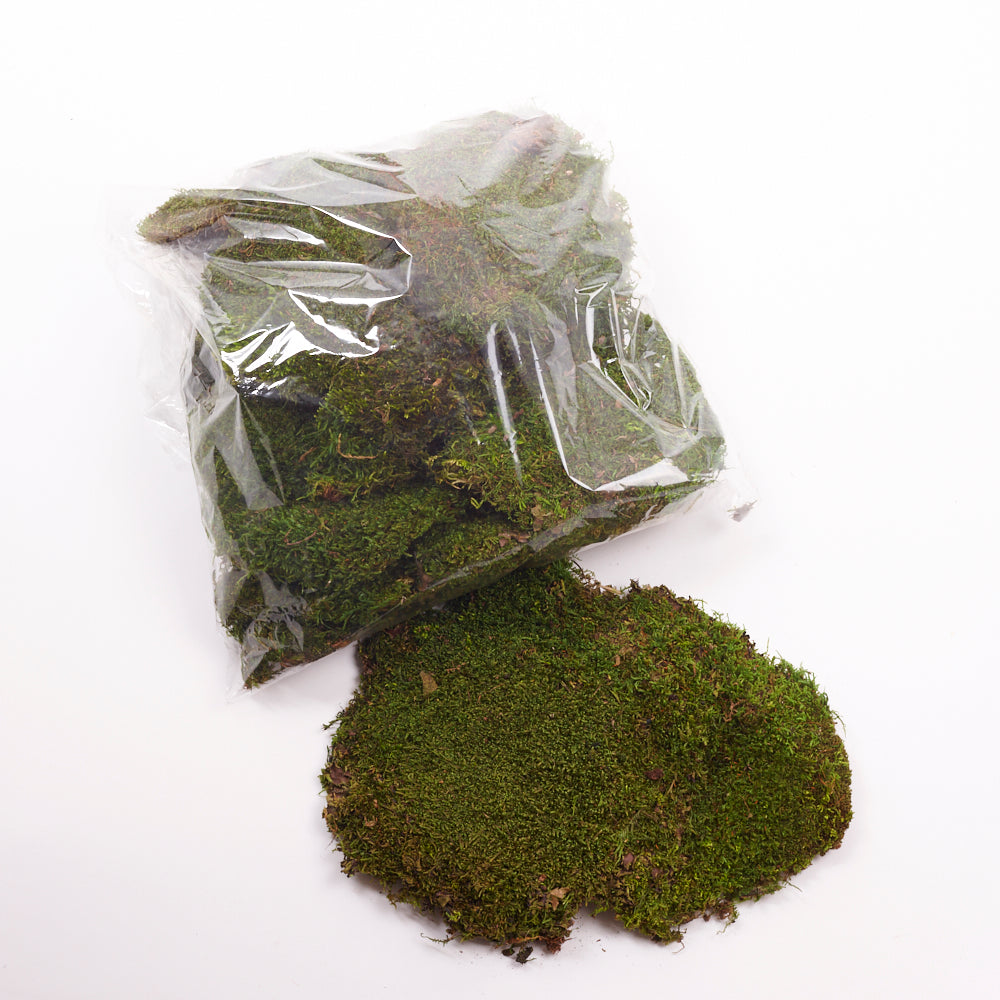 Flat Moss, Preserved, Green, Bag x 500g