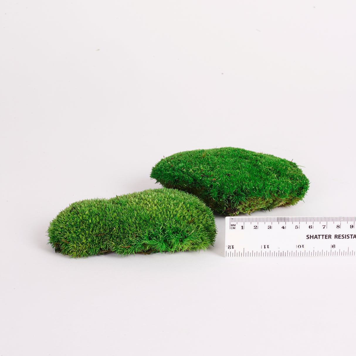 Ball Moss, Preserved, Green, 250g Box