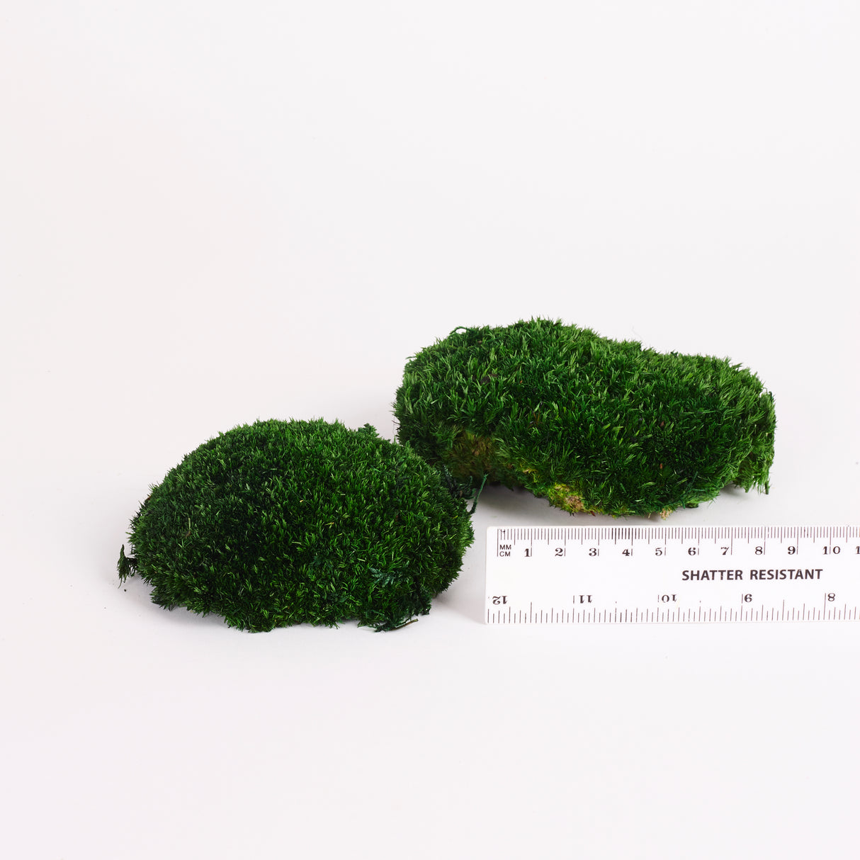 Ball Moss, Preserved, Dark Green, 250g Box