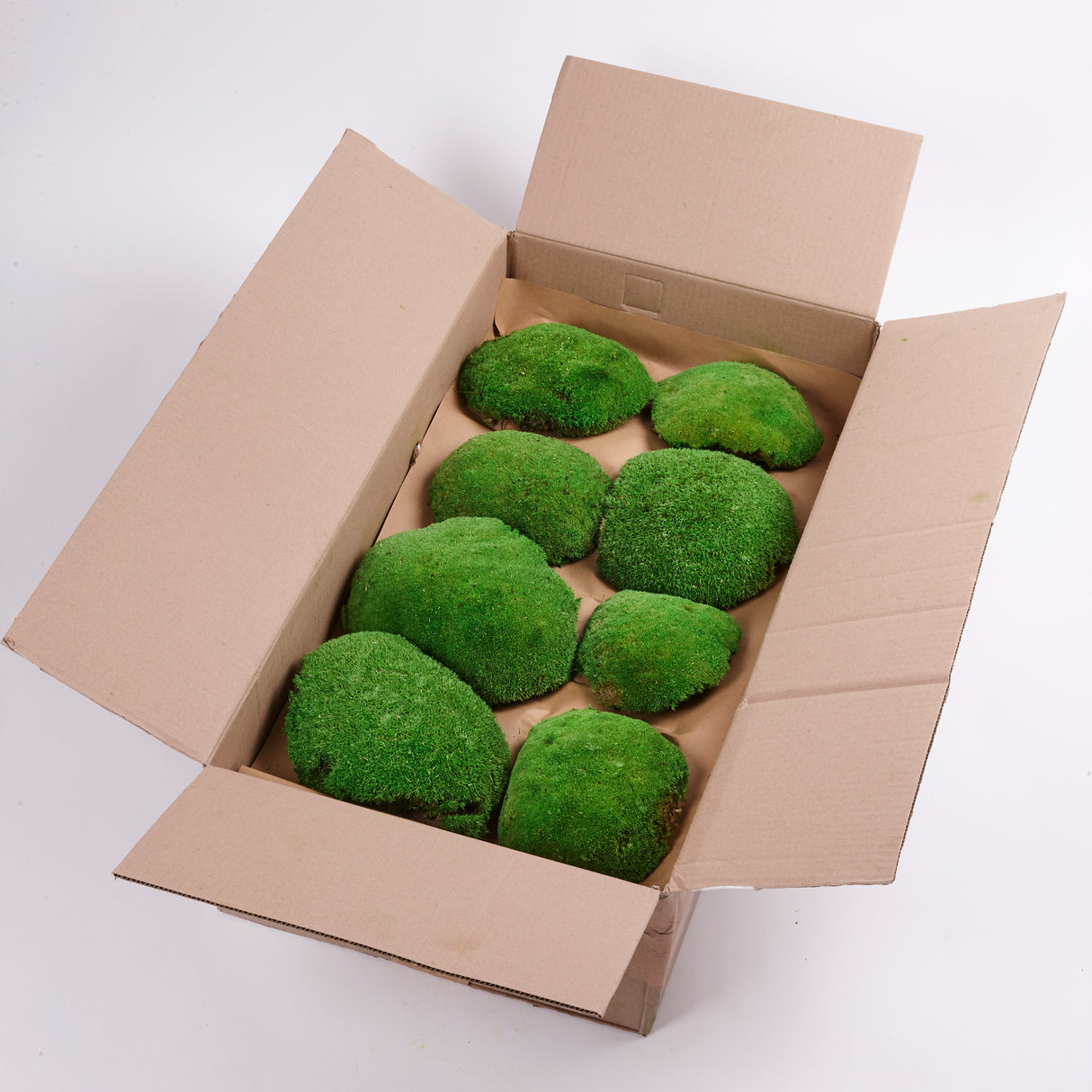 Ball Moss (Pole Moss) XL, Preserved, Green, 1.2kg Box