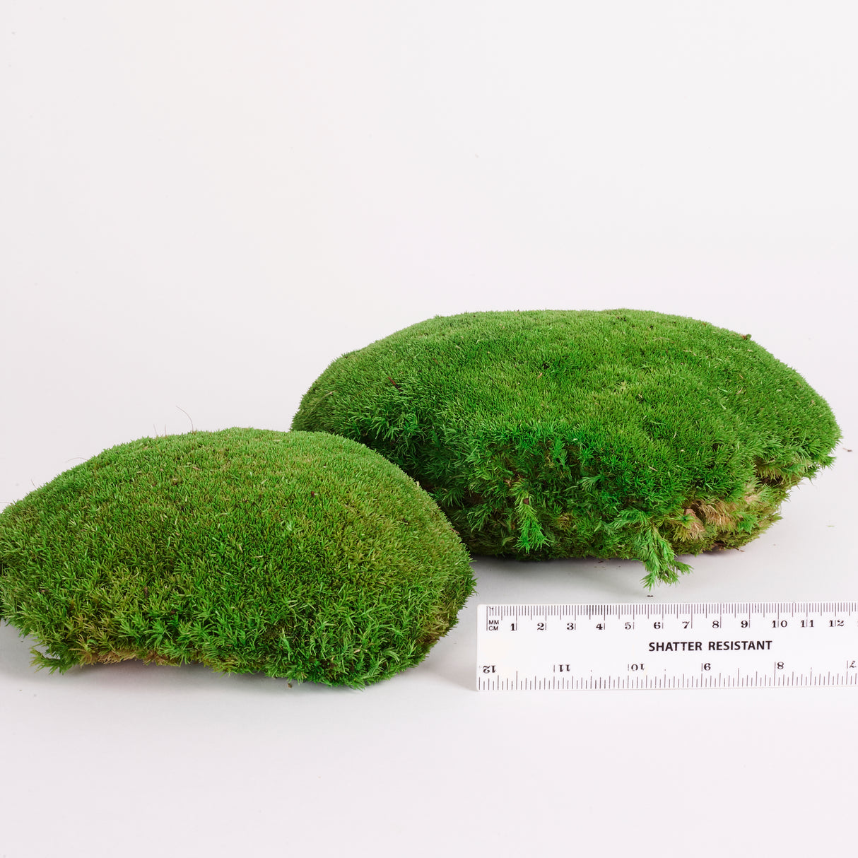 Ball Moss (Pole Moss) XL, Preserved, Green, 1.2kg Box