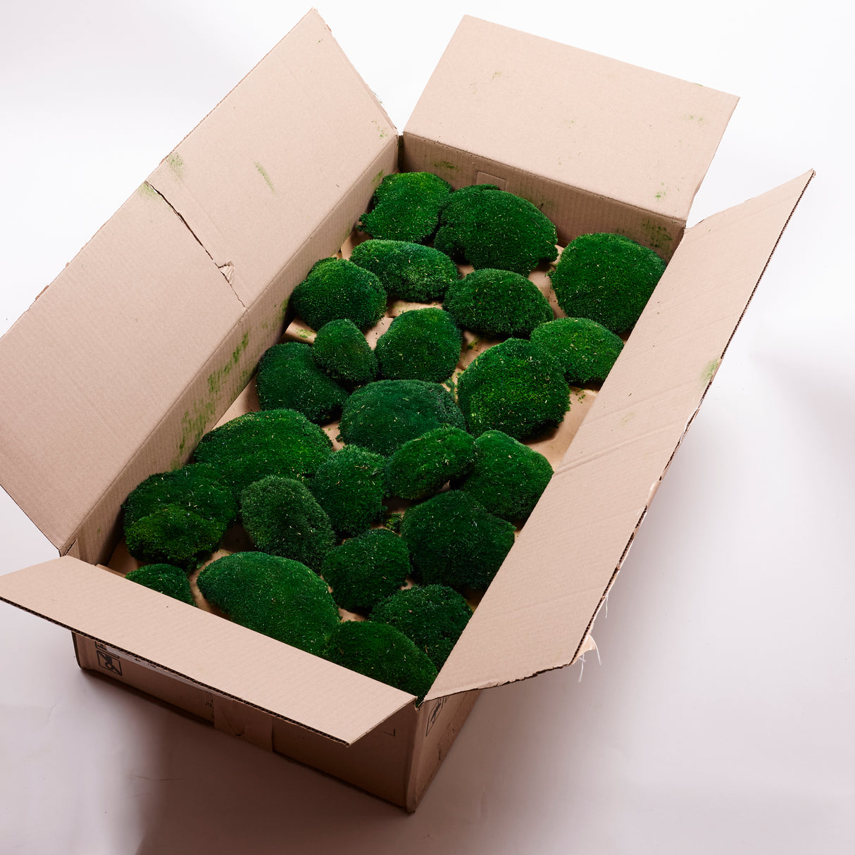 Image shows a full box containing 2.5kg of dark green ball moss.  The pole moss balls are dark green in coloour and vary in shape and size