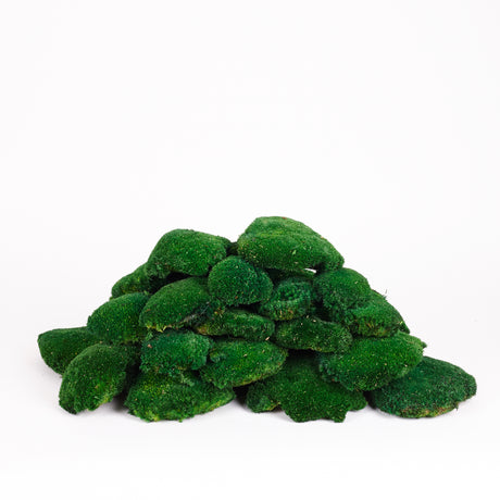 Ball Moss (Pole Moss), Preserved, Dark Green, 2.5kg Box