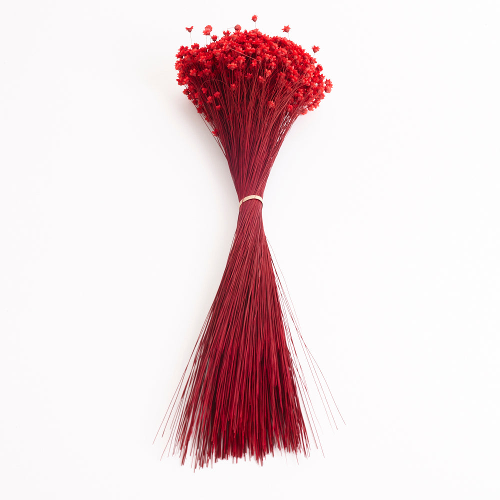 Glixia Flower, Dried, Red, 80g