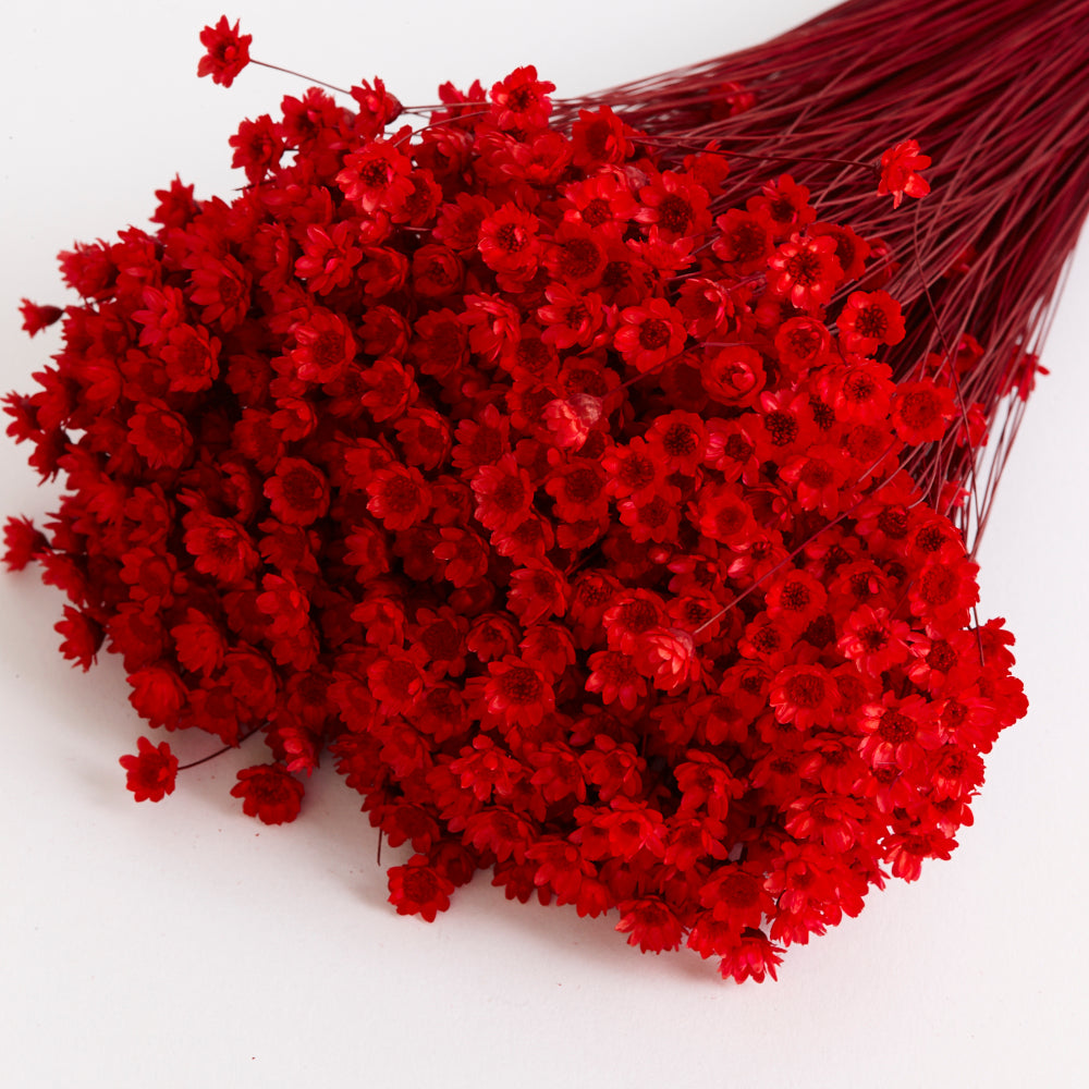 Glixia Flower, Dried, Red, 80g