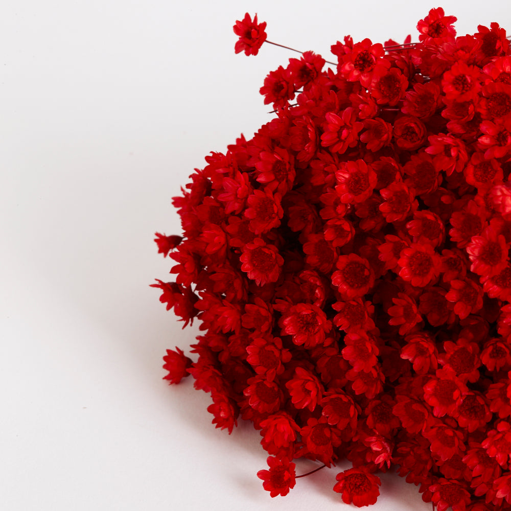 Glixia Flower, Dried, Red, 80g