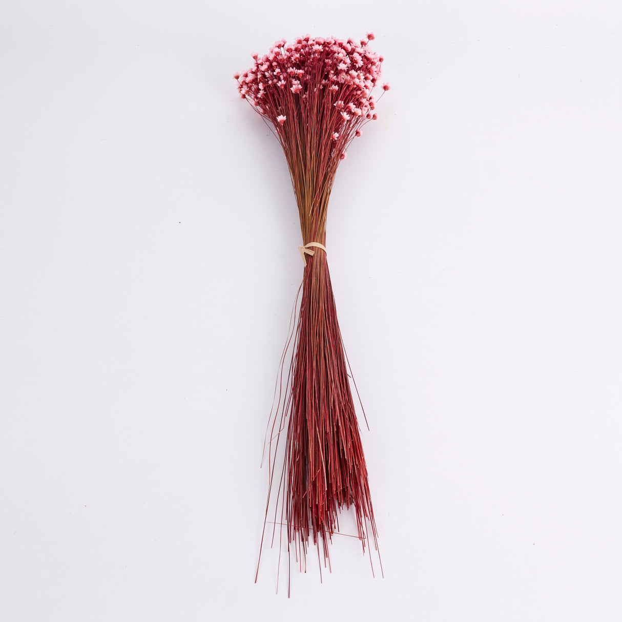 Glixia Flower, Dried, Light Pink, 80g