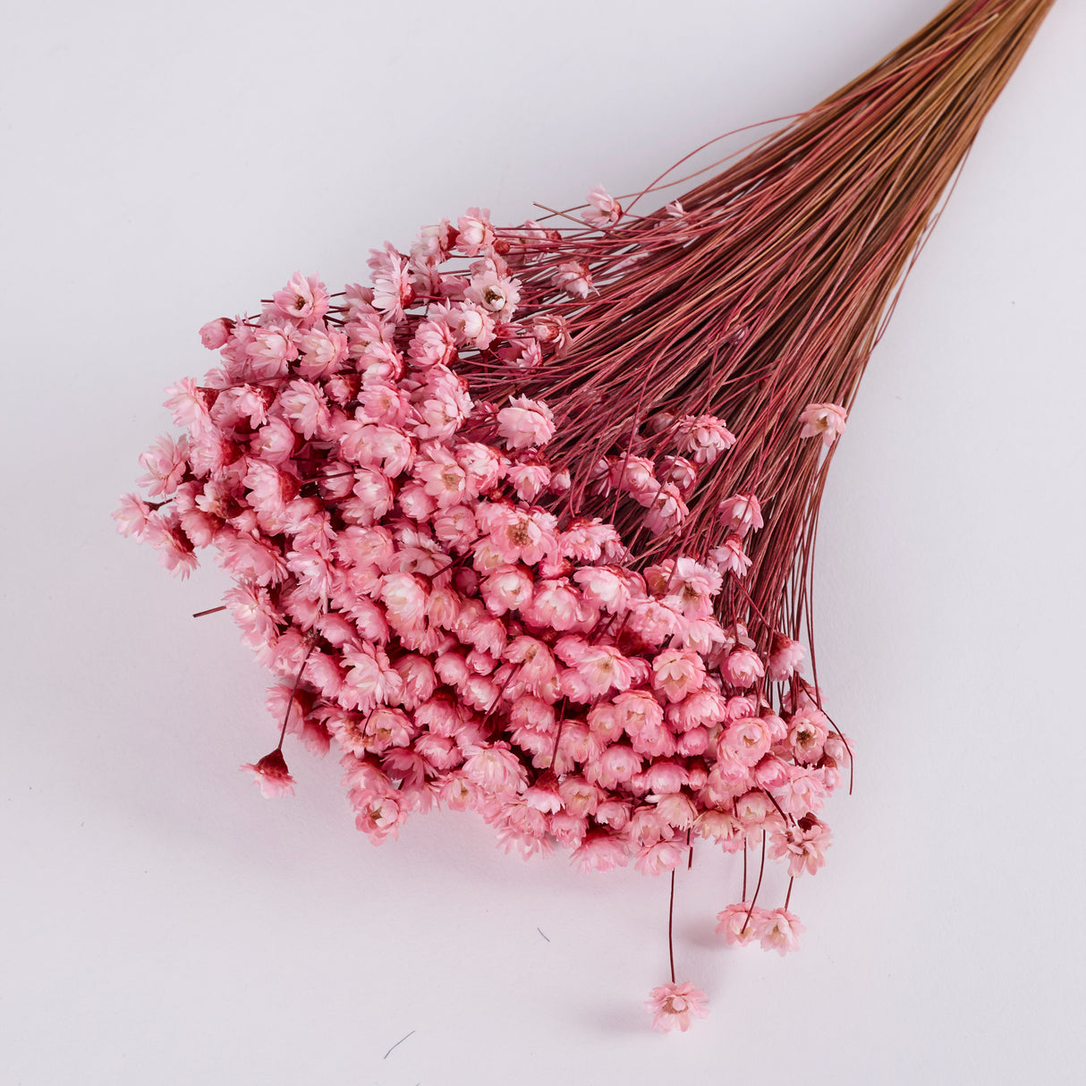 Glixia Flower, Dried, Light Pink, 80g