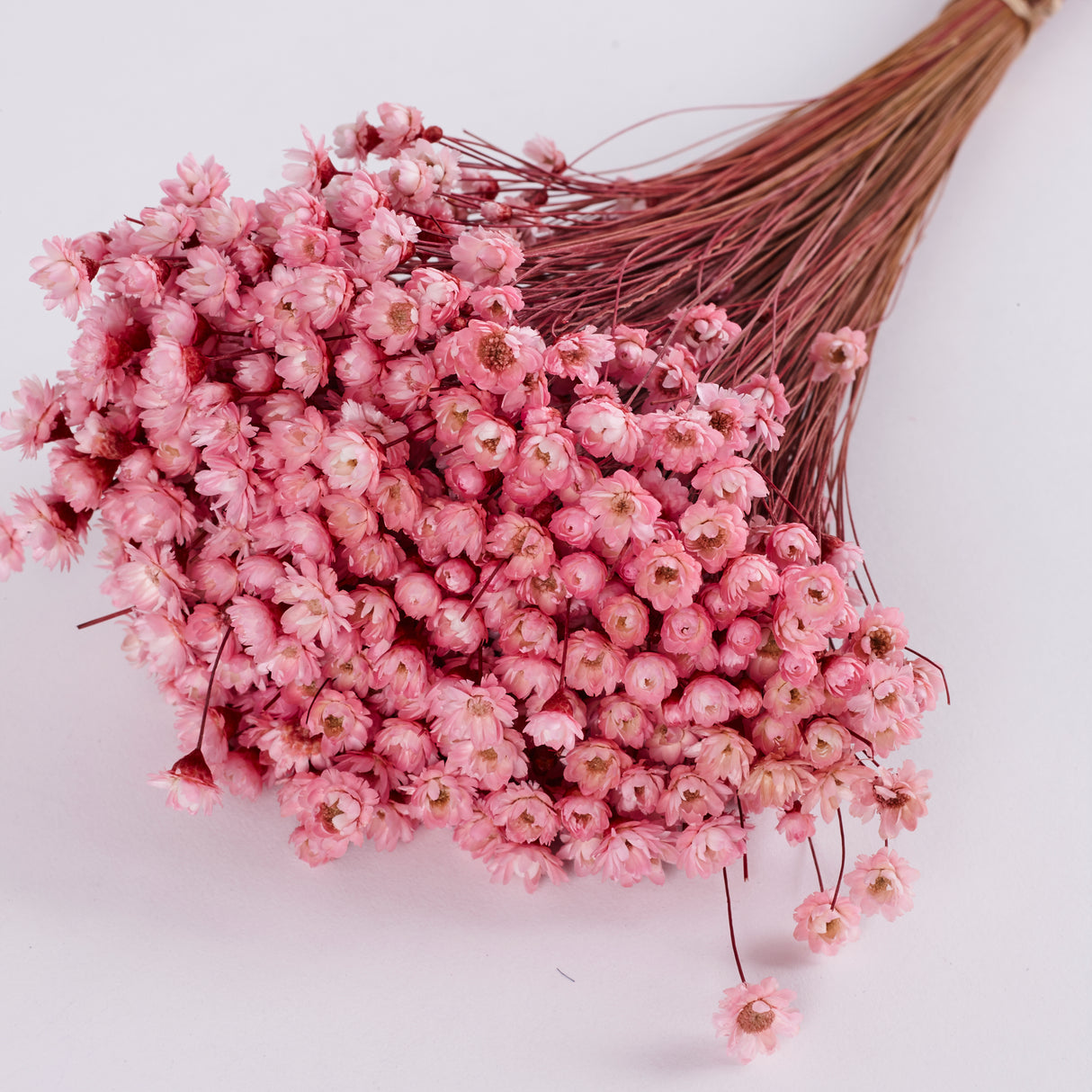 Glixia Flower, Dried, Light Pink, 80g