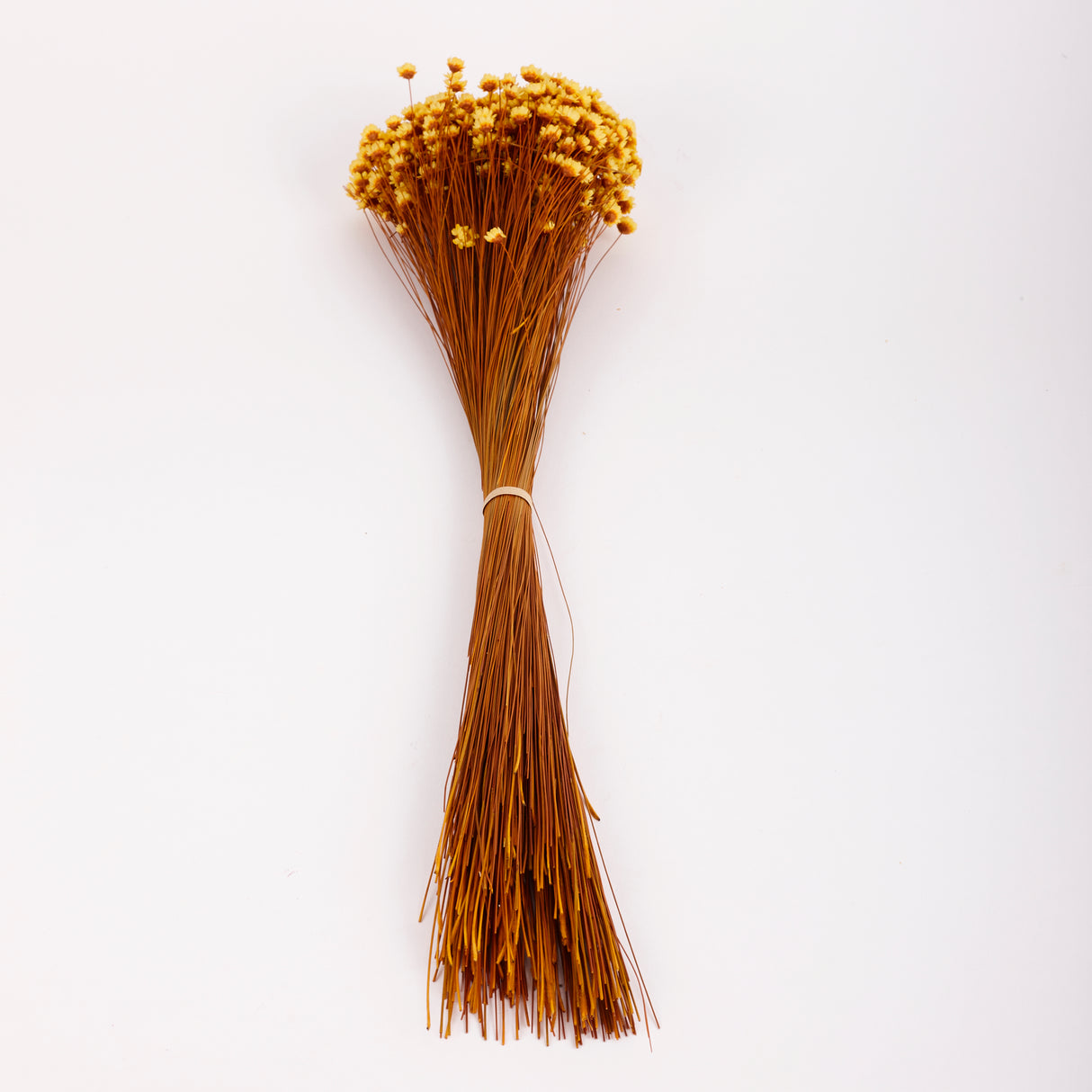 Glixia Flower, Dried, Yellow, 80g