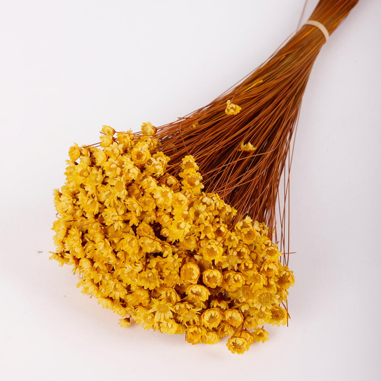 Glixia Flower, Dried, Yellow, 80g