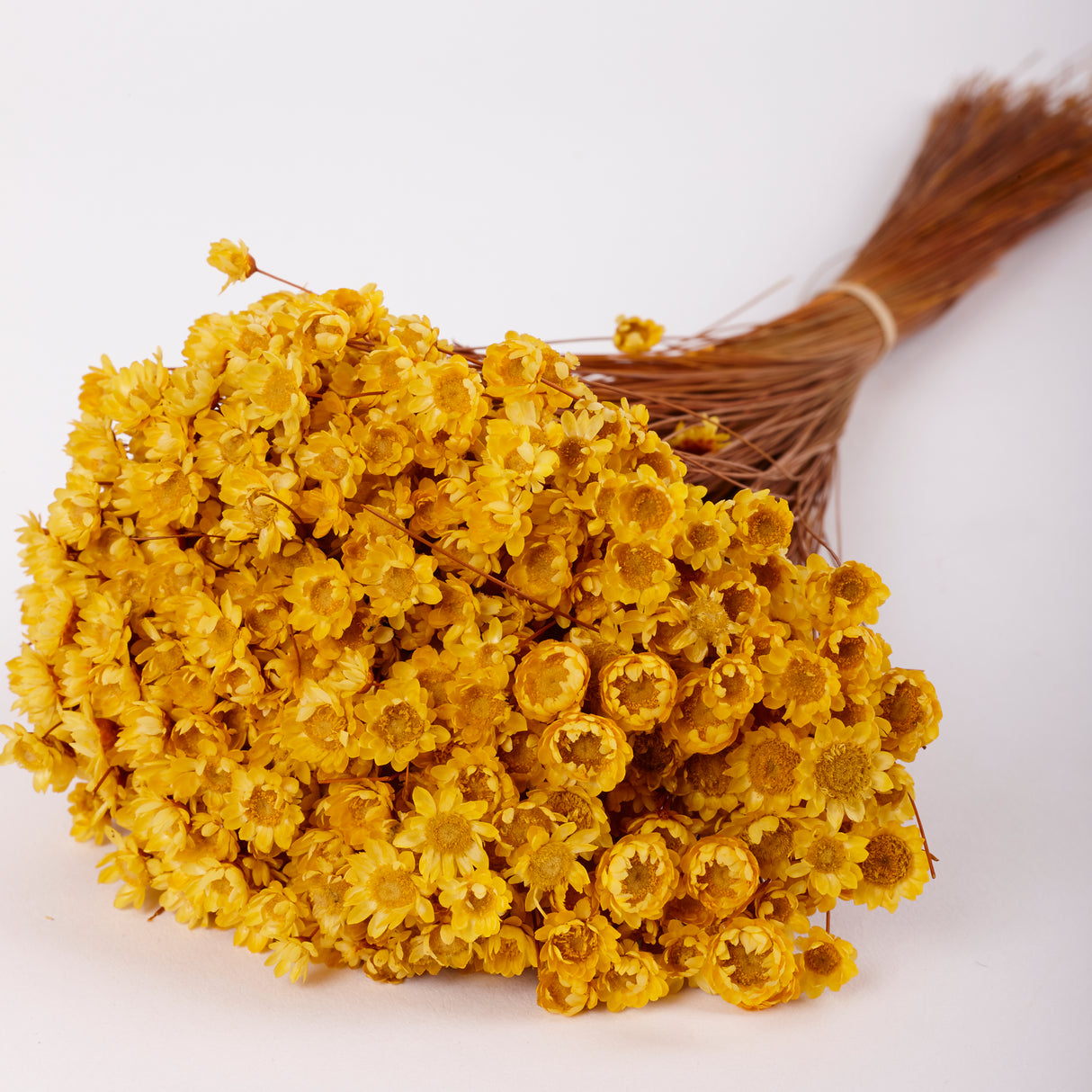 Glixia Flower, Dried, Yellow, 80g