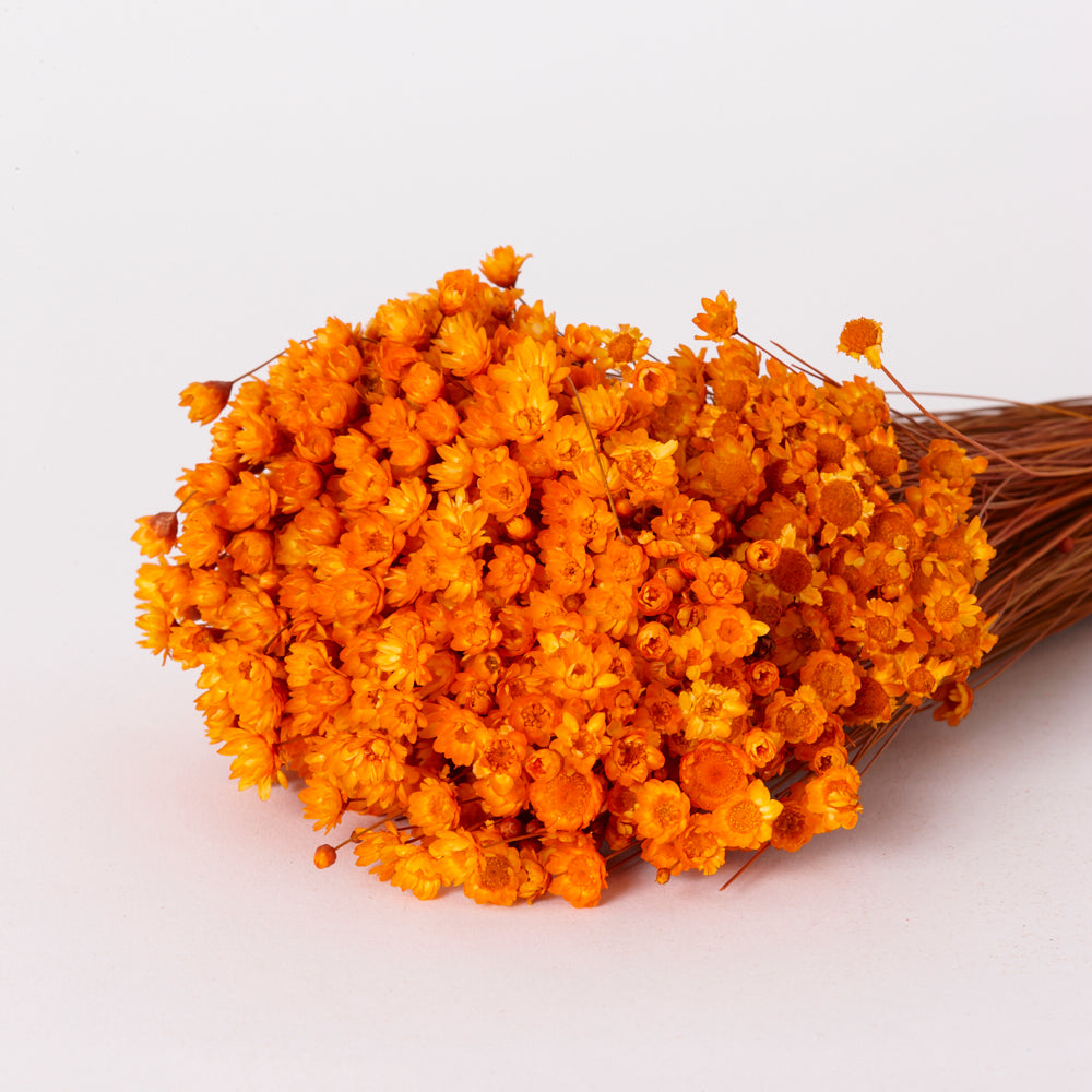 Glixia Flower, Dried, Orange, 80g