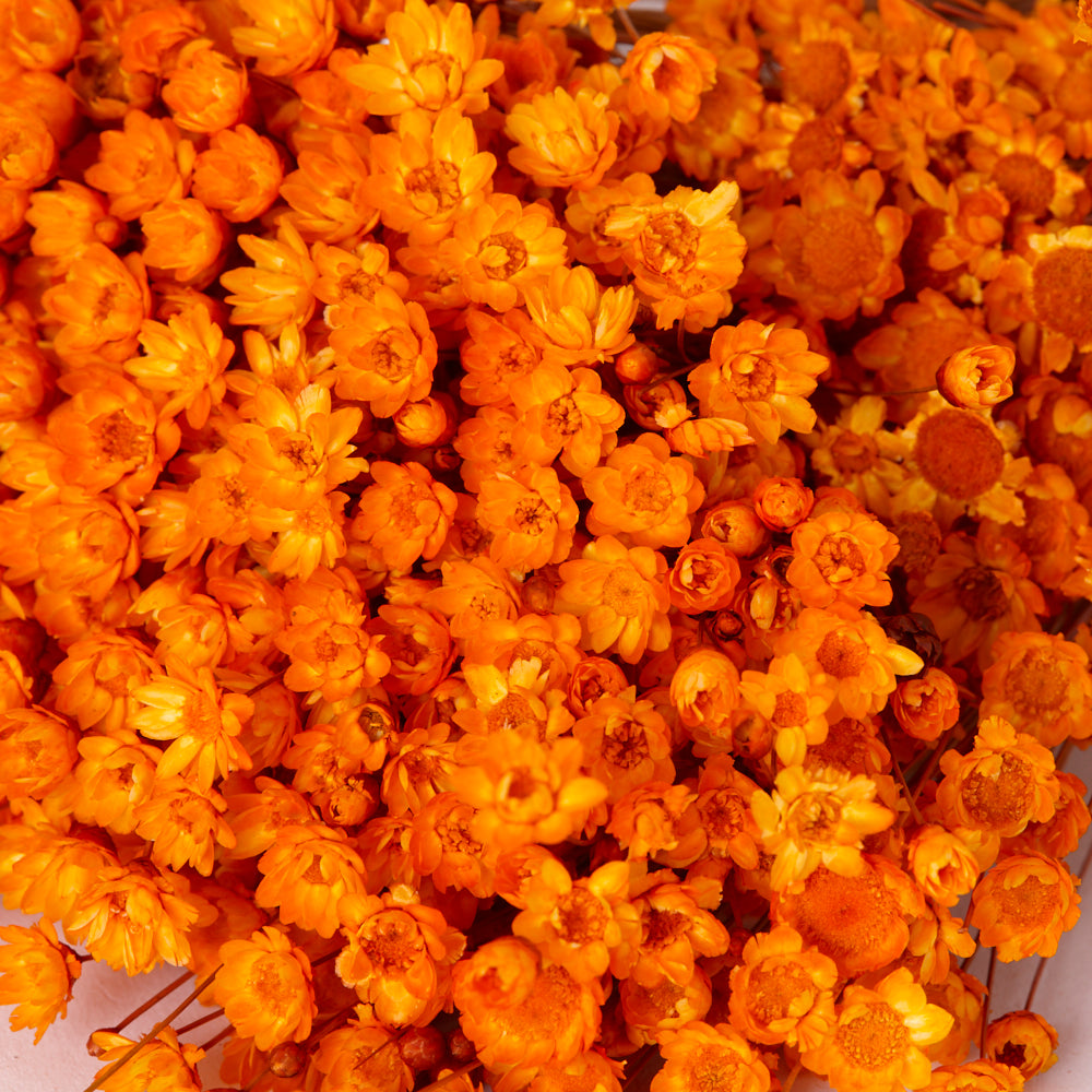 Glixia Flower, Dried, Orange, 80g