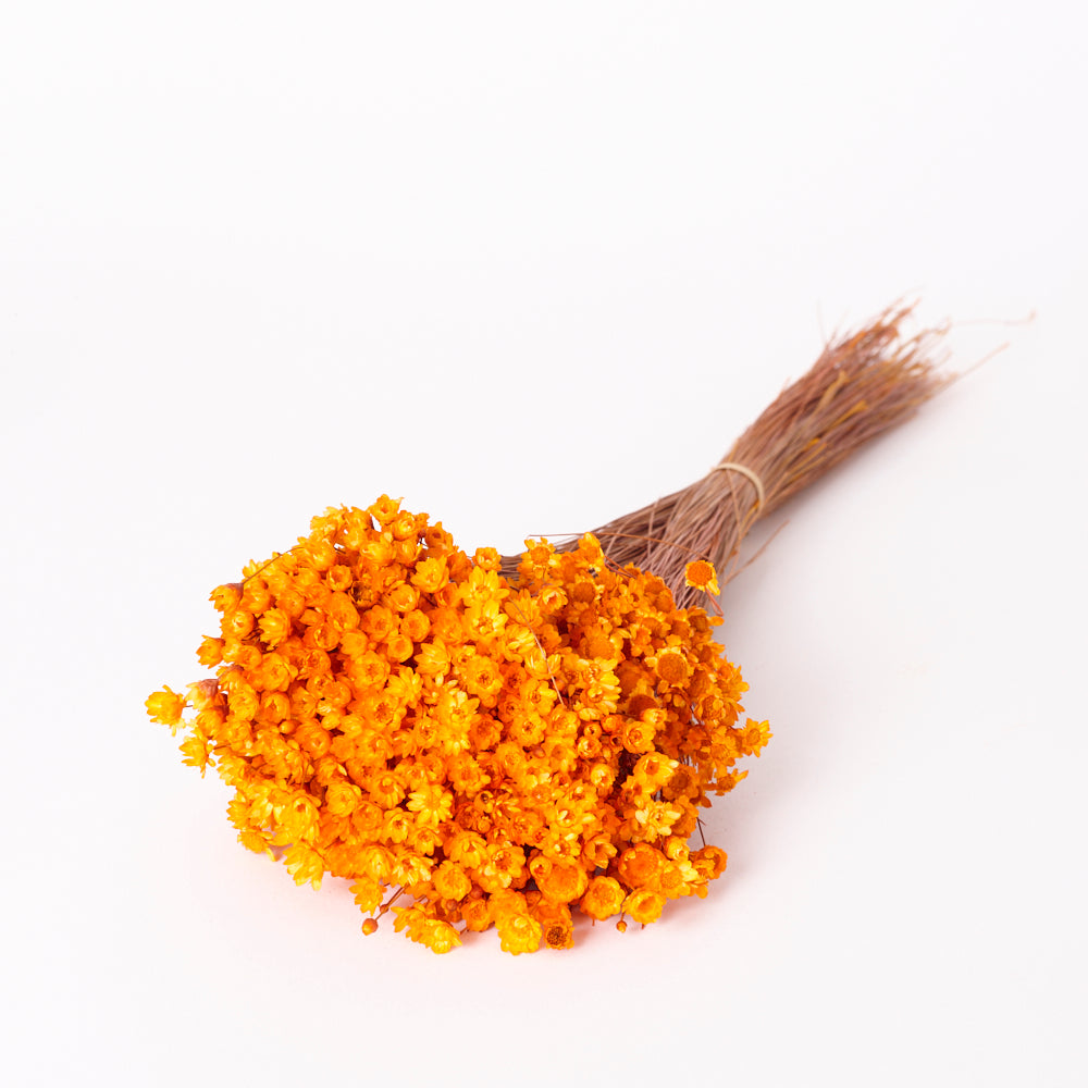Glixia Flower, Dried, Orange, 80g