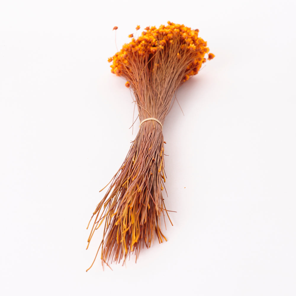 Glixia Flower, Dried, Orange, 80g