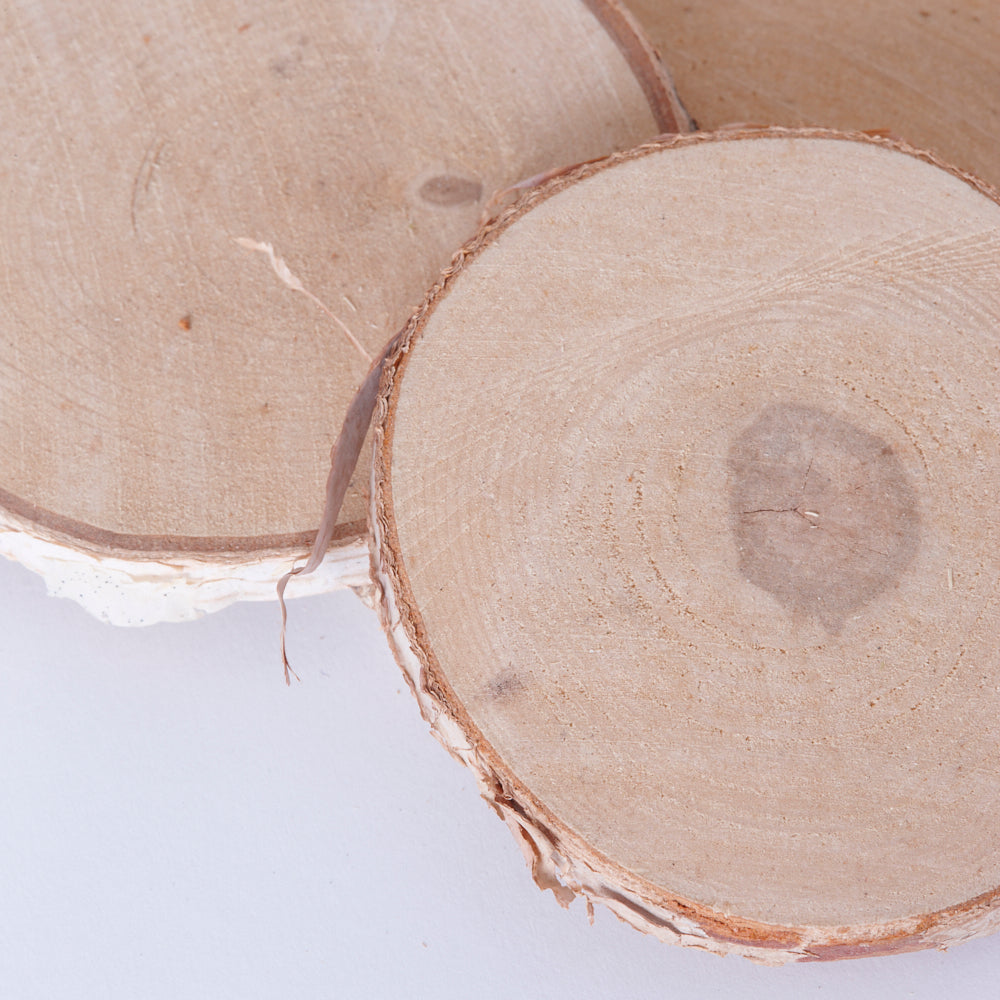 Silver Birch Slices, 9-10cm diameter, 10 Slices