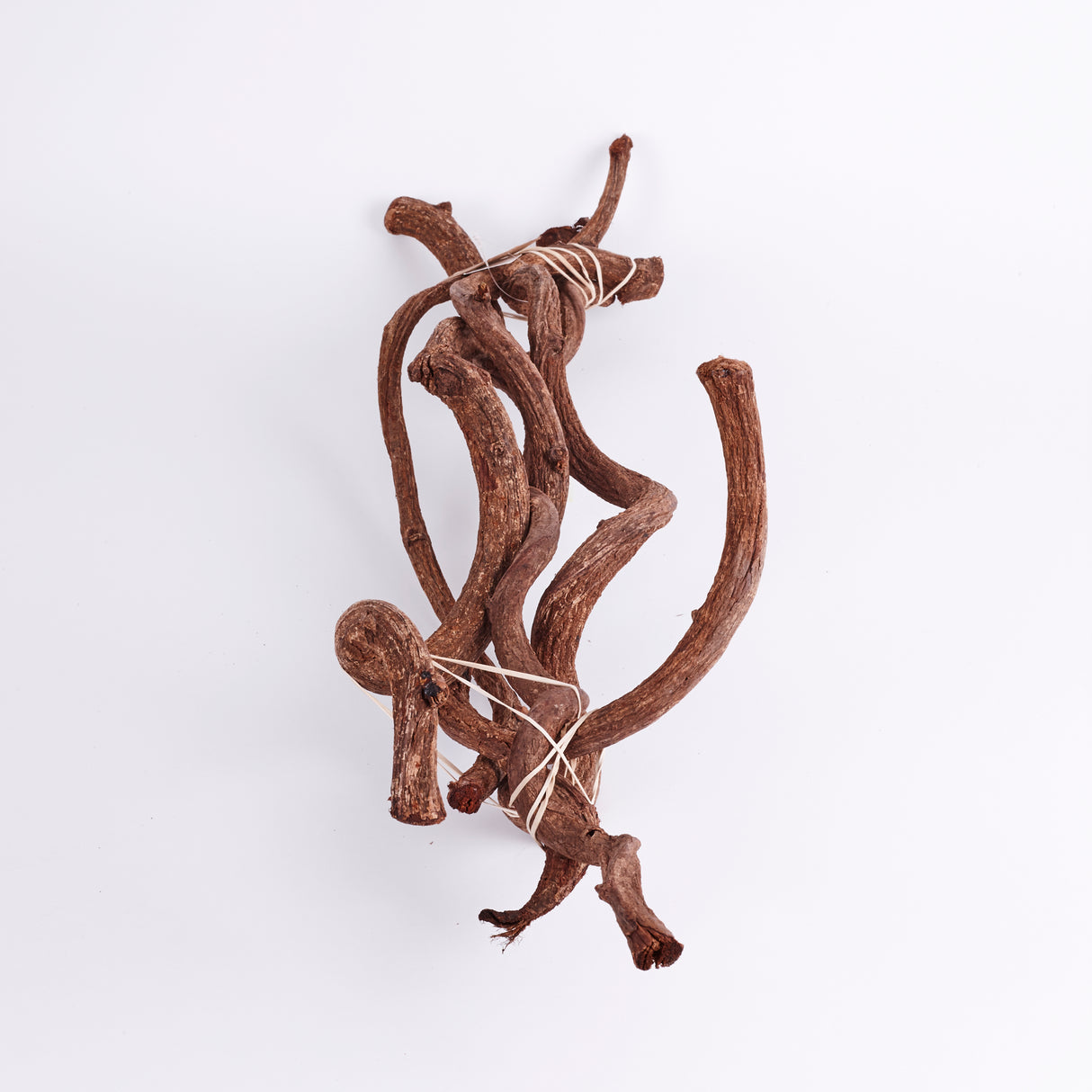 Curly Vine, Branches, Natural & Dried, 60cm x 5 Pcs
