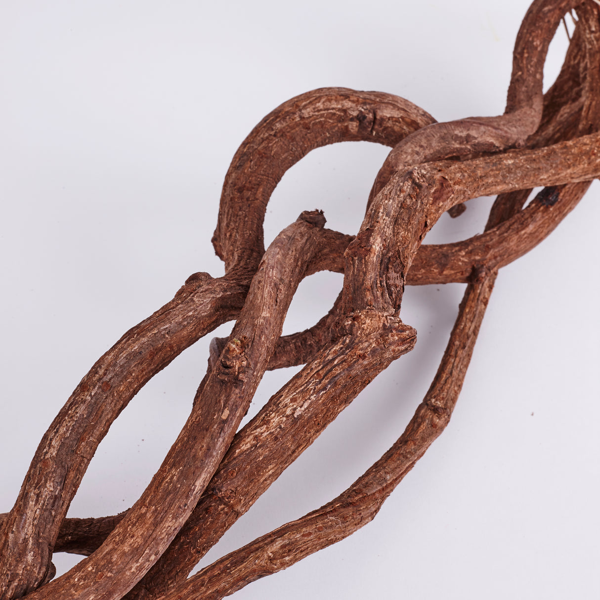 Curly Vine, Branches, Natural & Dried, 60cm x 5 Pcs