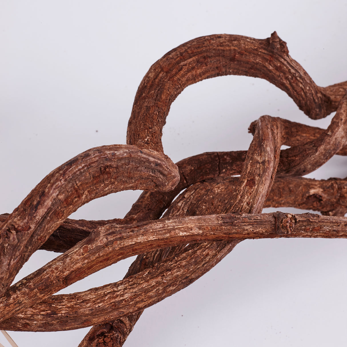 Curly Vine, Branches, Natural & Dried, 60cm x 5 Pcs