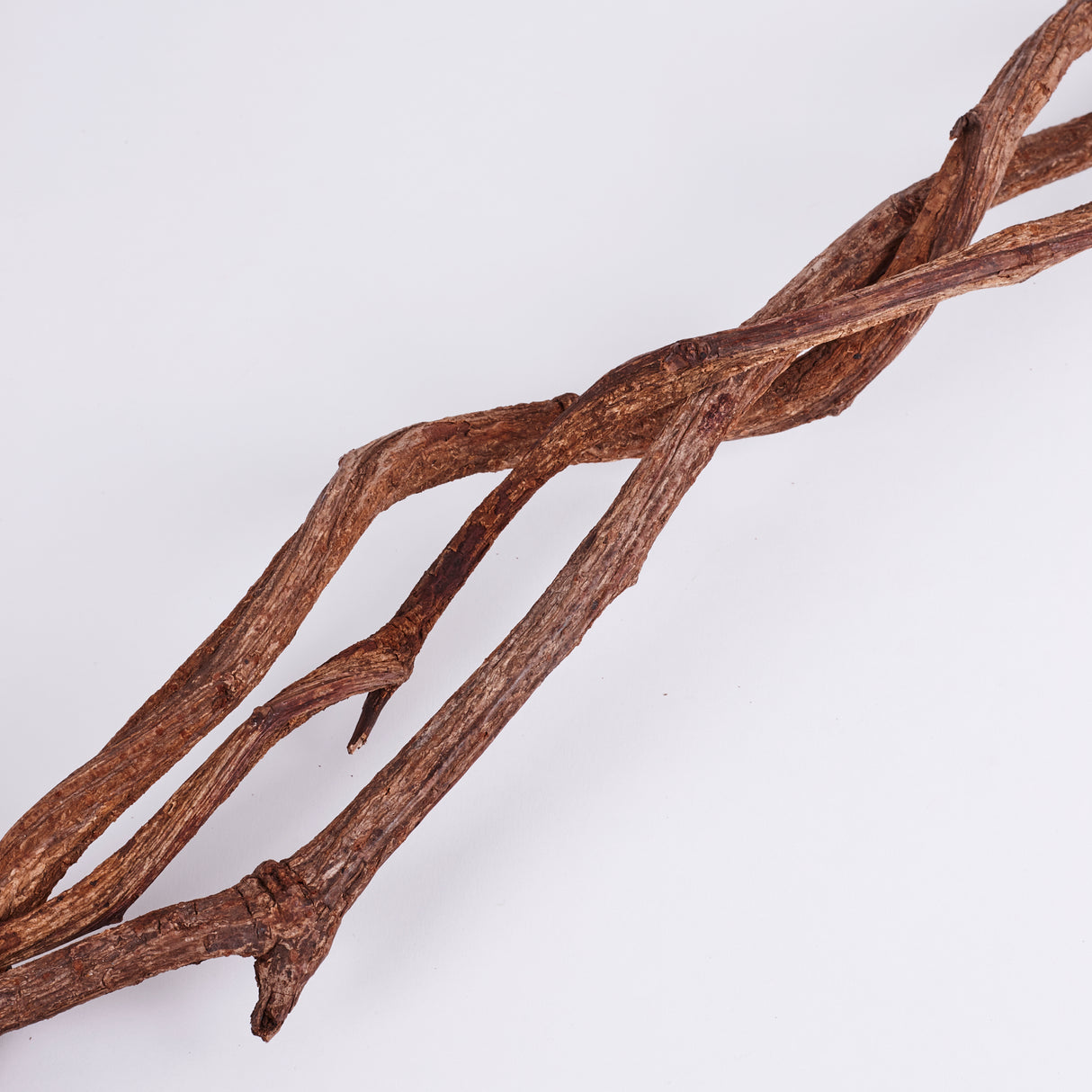 Curly Vine Branches, Natural & Dried 100cm x 3 Pcs