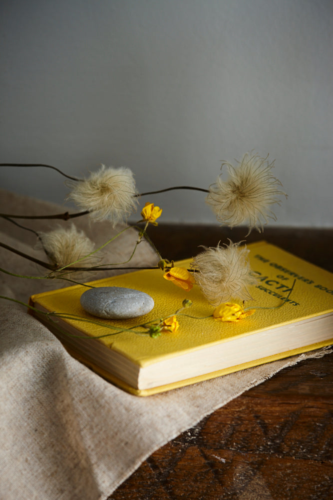 Buttercups, British, Organic, Natural Yellow, 45-55cm x 20