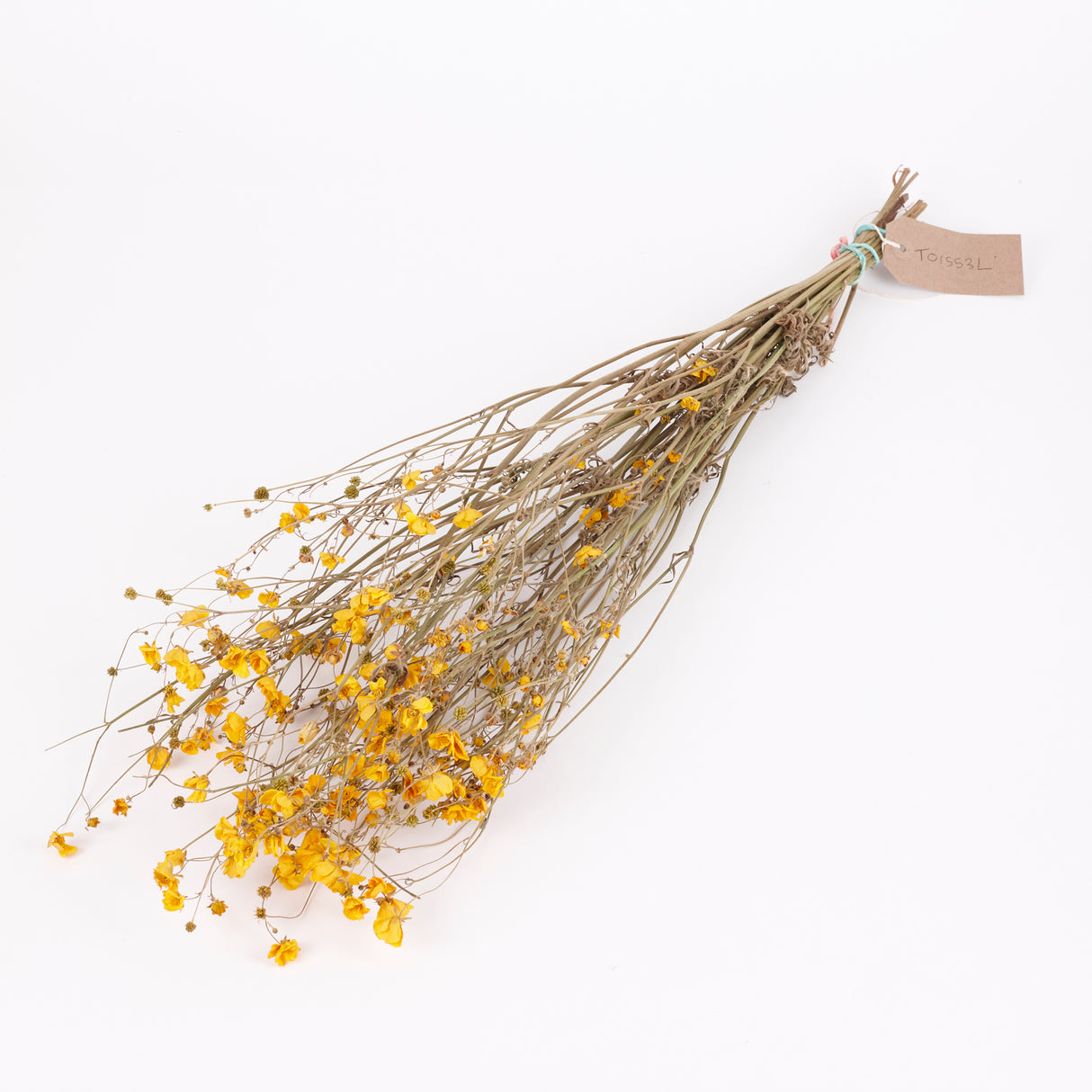 Buttercups, British, Organic, Natural Yellow, 55-70cm x 20