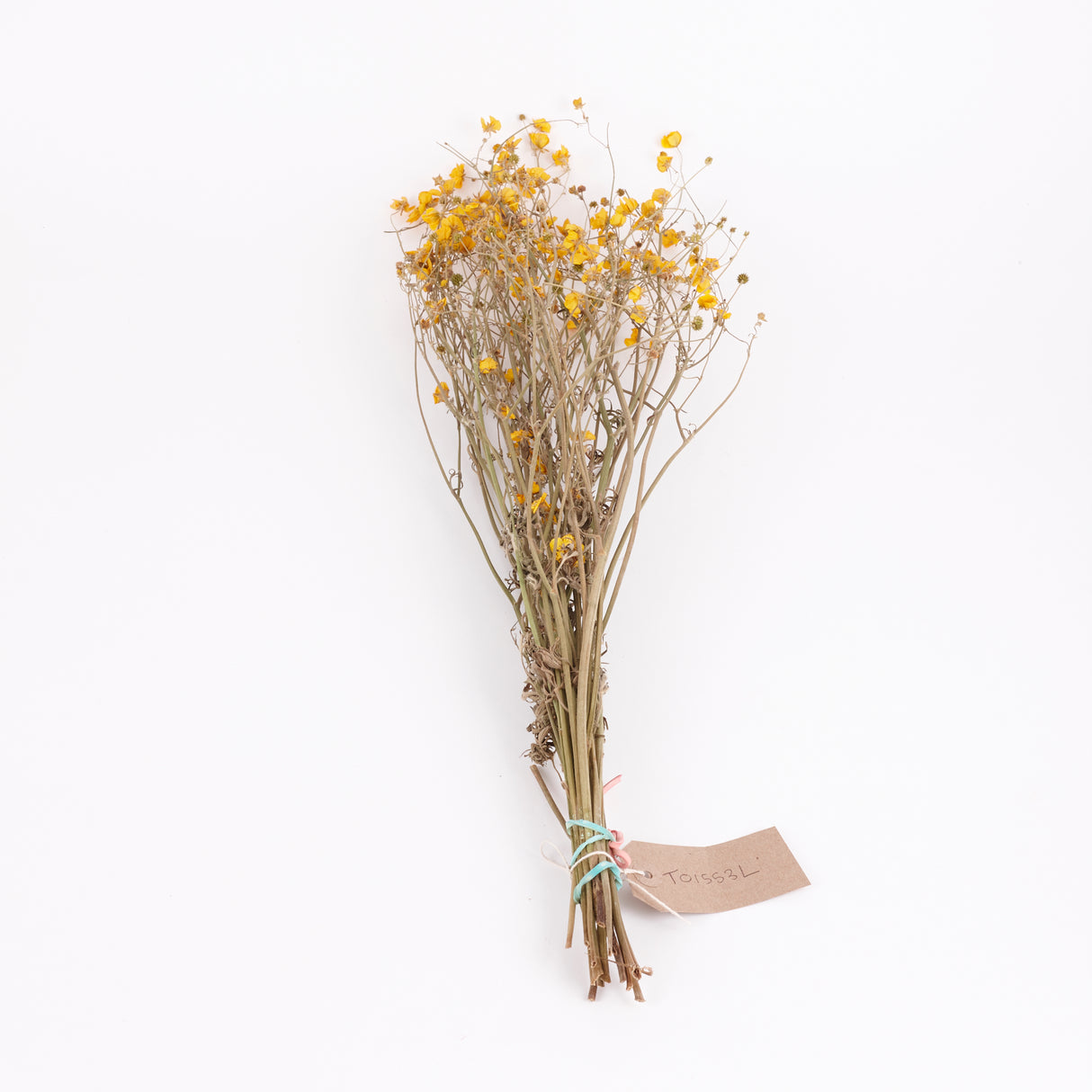 Buttercups, British, Organic, Natural Yellow, 55-70cm x 20