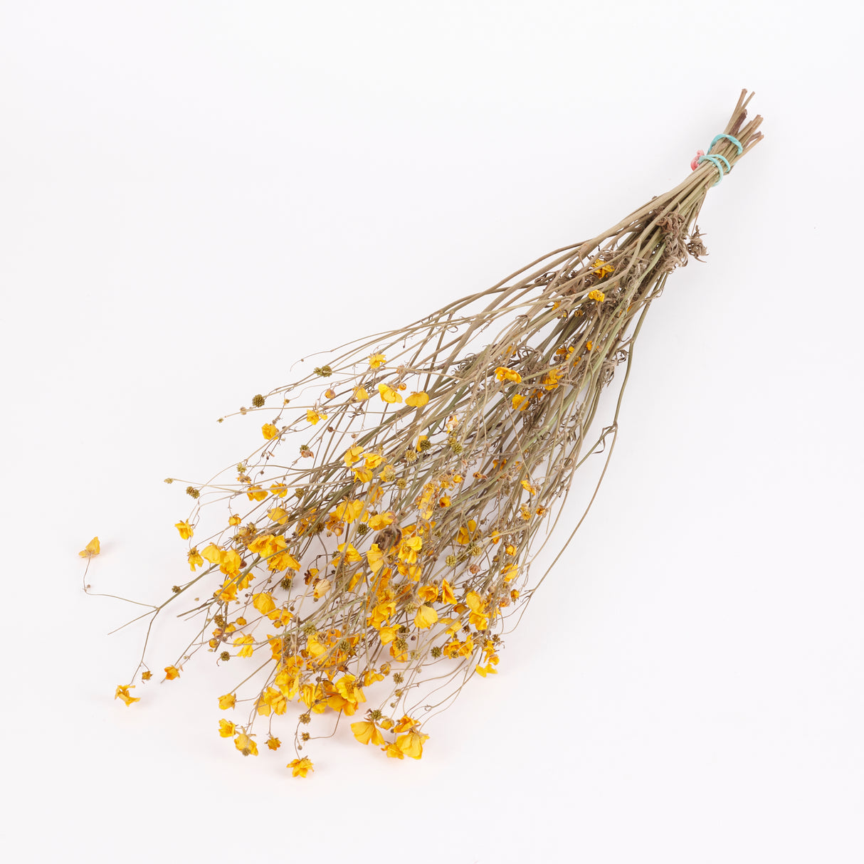 Buttercups, British, Organic, Natural Yellow, 55-70cm x 20