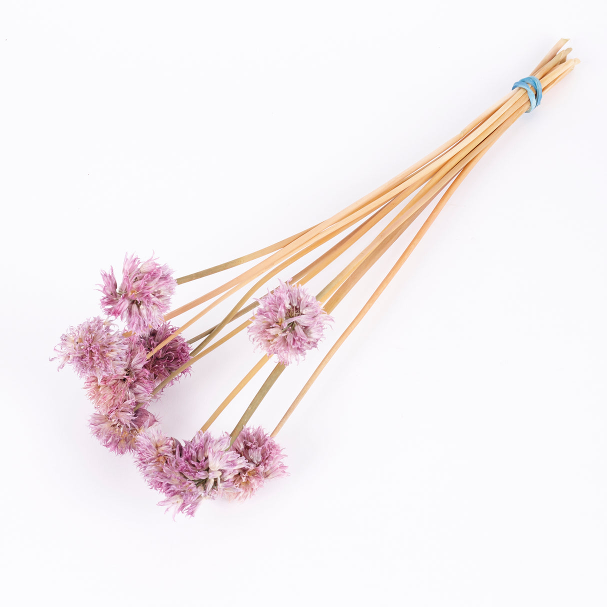 Chive Flowers, British, Organic, Natural Purple, Bunch x 10