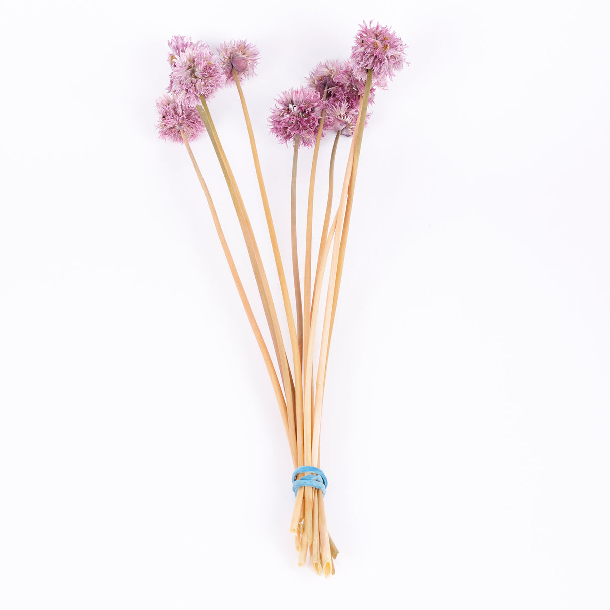 Chive Flowers, British, Organic, Natural Purple, Bunch x 10