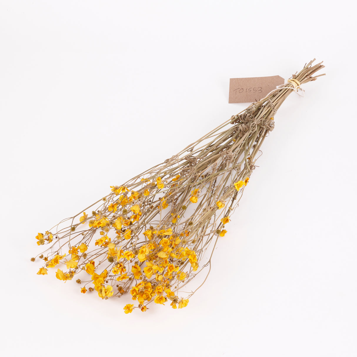 Buttercups, British, Organic, Natural Yellow, 45-55cm x 20