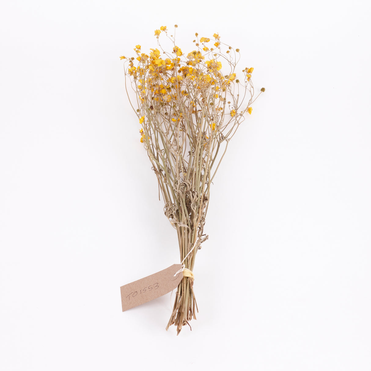 Buttercups, British, Organic, Natural Yellow, 45-55cm x 20