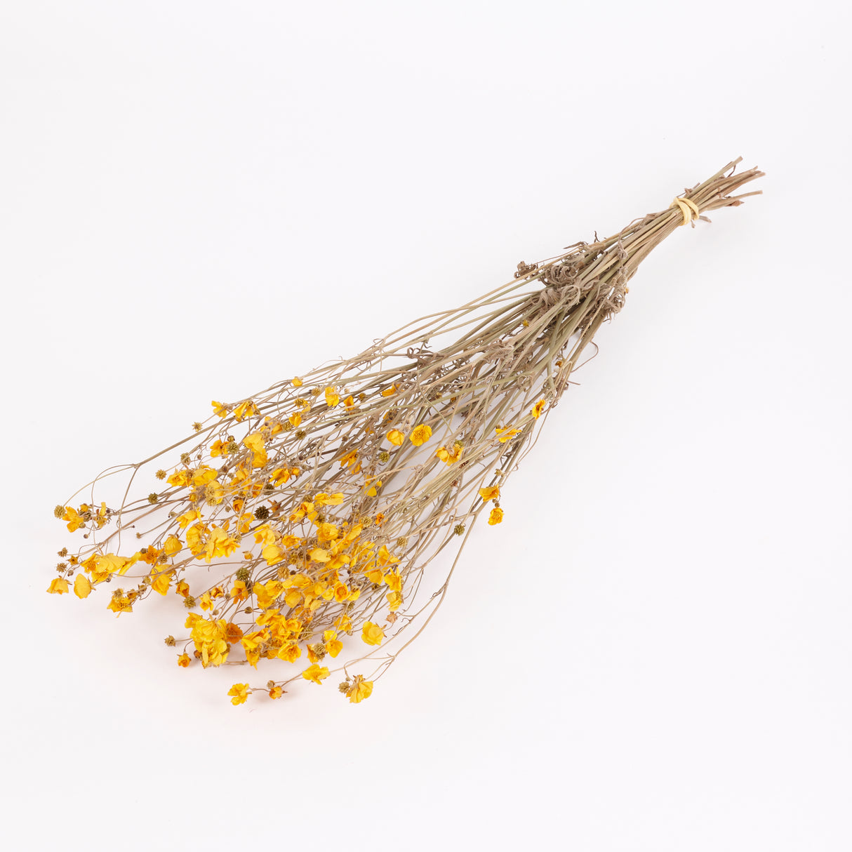 Buttercups, British, Organic, Natural Yellow, 45-55cm x 20