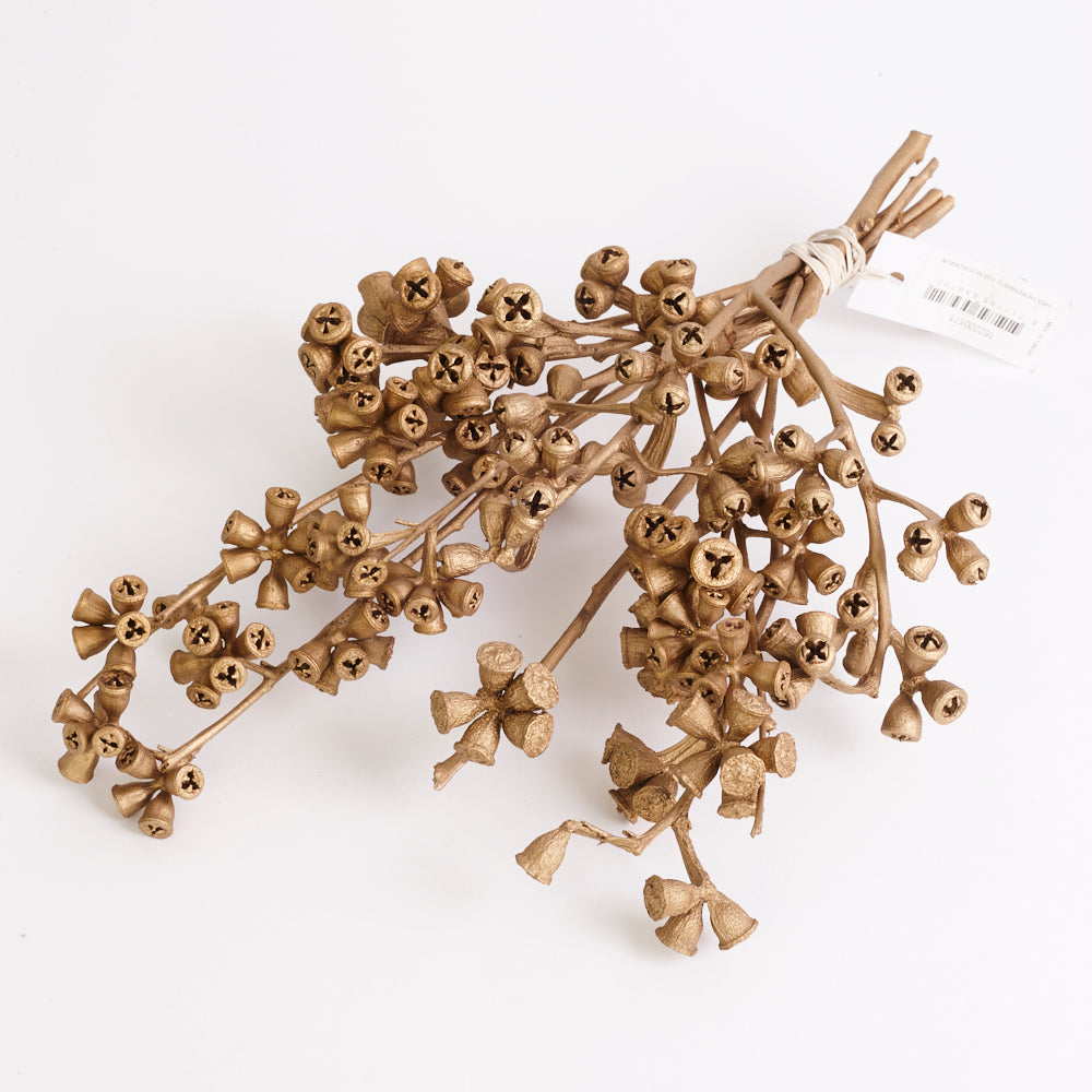 Eucalyptus Nuts, Dried, Gold, On Stem, Bunch