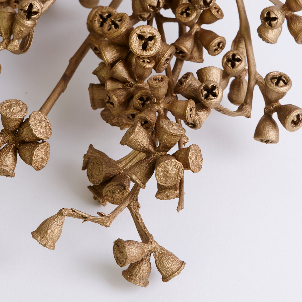 Eucalyptus Nuts, Dried, Gold, On Stem, Bunch
